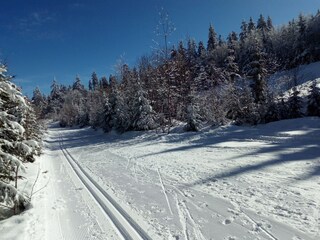 Appartement de vacances Mauth Environnement 37