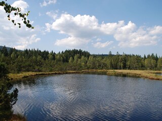 Appartamento per vacanze Mauth Ambiente 29