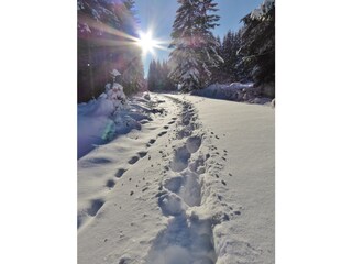 Appartamento per vacanze Mauth Ambiente 38