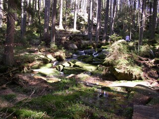 Apartamento de vacaciones Mauth Entorno 32