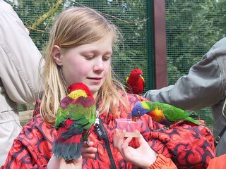Weltvogelpark Walsrode