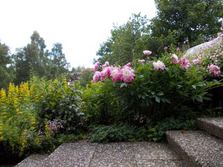 garden stairs