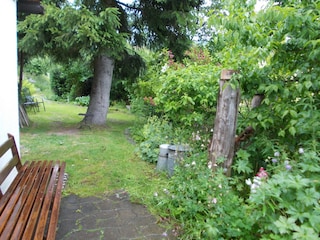 in den Naturgarten