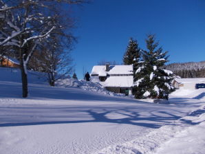 Holiday house Sauter - Schluchsee - image1