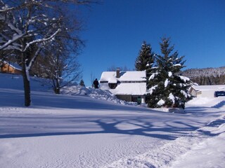 Morgens im Schnee