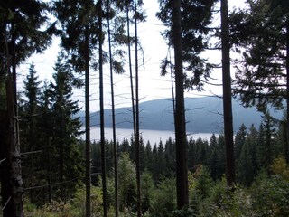 look from the huntertrail to the lake Schluchsee