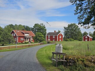 Blick aud Rosen Skog & Göstas Hus