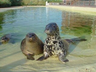 Mareike und Nemi