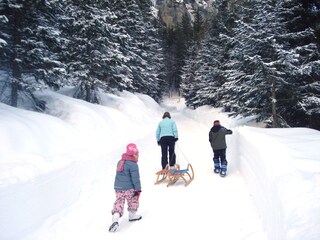 Vakantieappartement Kötschach-Mauthen Omgeving 33