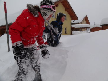 Ferienwohnung Luxus Chalet 6