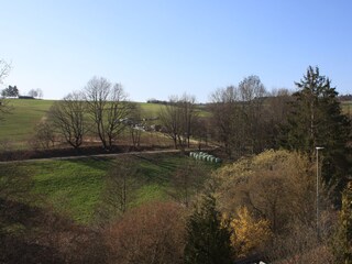 Blick ins Grüne