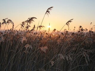 Casa per le vacanze Kramerhof Ambiente 30