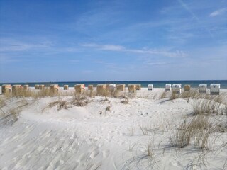 Nur 60 m zum Strand