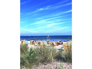 Apartamento de vacaciones Scharbeutz Entorno 21