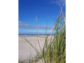 Appartamento per vacanze Scharbeutz Ambiente 17