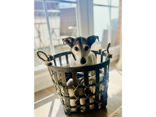 Appartamento per vacanze Scharbeutz Caratteristiche 9