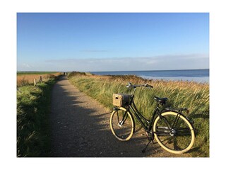 Endlose Fahrradwege entlang des Wassers