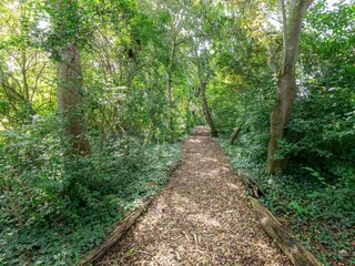 Casa per le vacanze Aagtekerke Ambiente 29