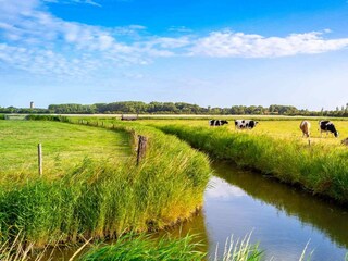 Casa per le vacanze Aagtekerke Ambiente 40