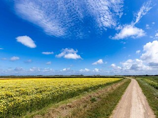 Casa per le vacanze Aagtekerke Ambiente 42