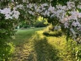 Ausblicke in die Frühlingstage