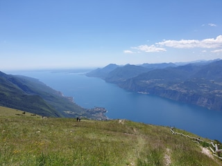 Südl.Gardasee v. Monte Baldo