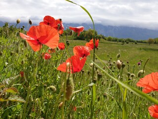 Vakantiehuis Tremosine sul Garda Buitenaudio-opname 14