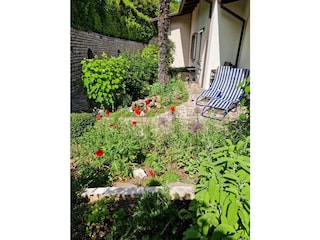 Vorgarten mit Zugangsweg