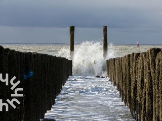Casa per le vacanze Dishoek Ambiente 17