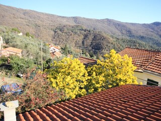 Vakantieappartement Pantasina Buitenaudio-opname 3