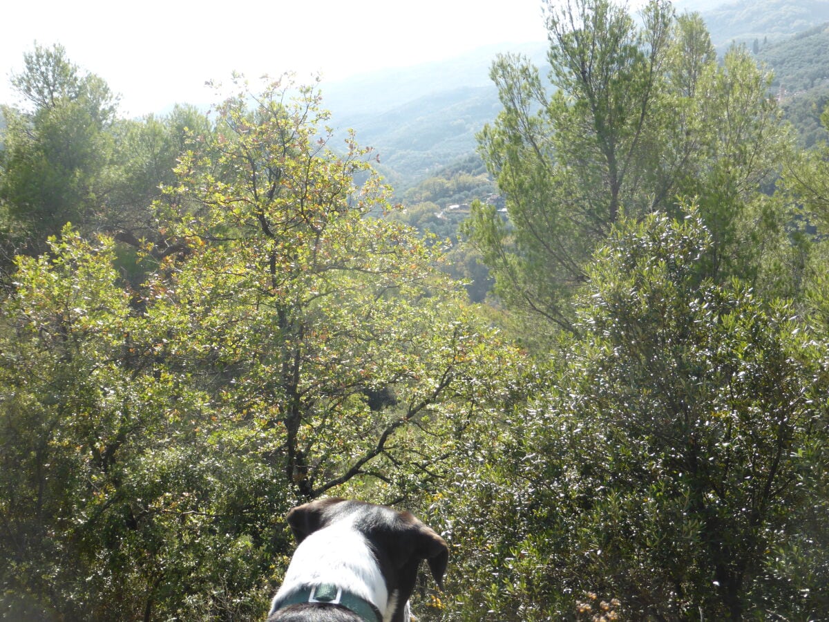 Wandern mit Hund in Pantasina