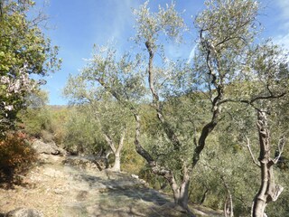 Appartamento per vacanze Pantasina Ambiente 23