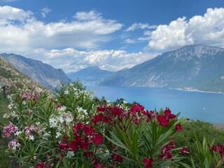 Casa per le vacanze Tremosine sul Garda Registrazione all'aperto 9
