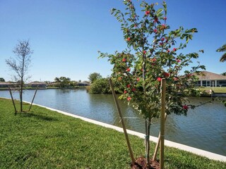 Casa per le vacanze Cape Coral Registrazione all'aperto 15