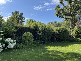 Casa per le vacanze Vrouwenpolder Registrazione all'aperto 5