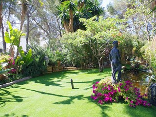 Lush garden around the house