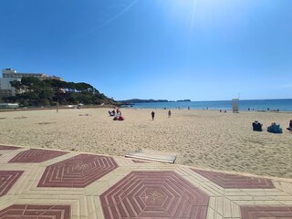 Appartamento Paguera Ambiente 22