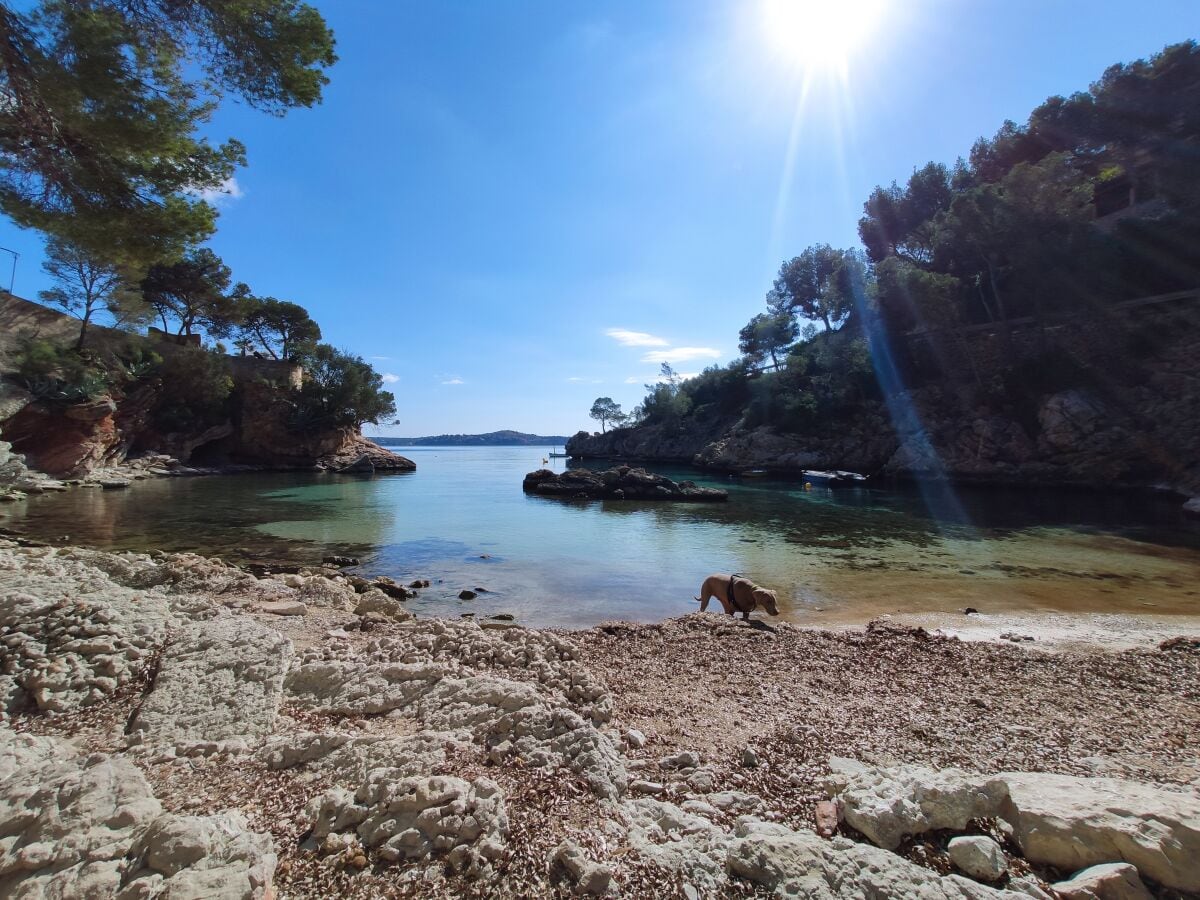 Badebucht in Cala Fornells