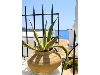 Appartamento per vacanze Paguera Ambiente 17