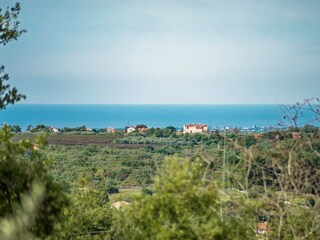 Villa Momjan Ambiente 40