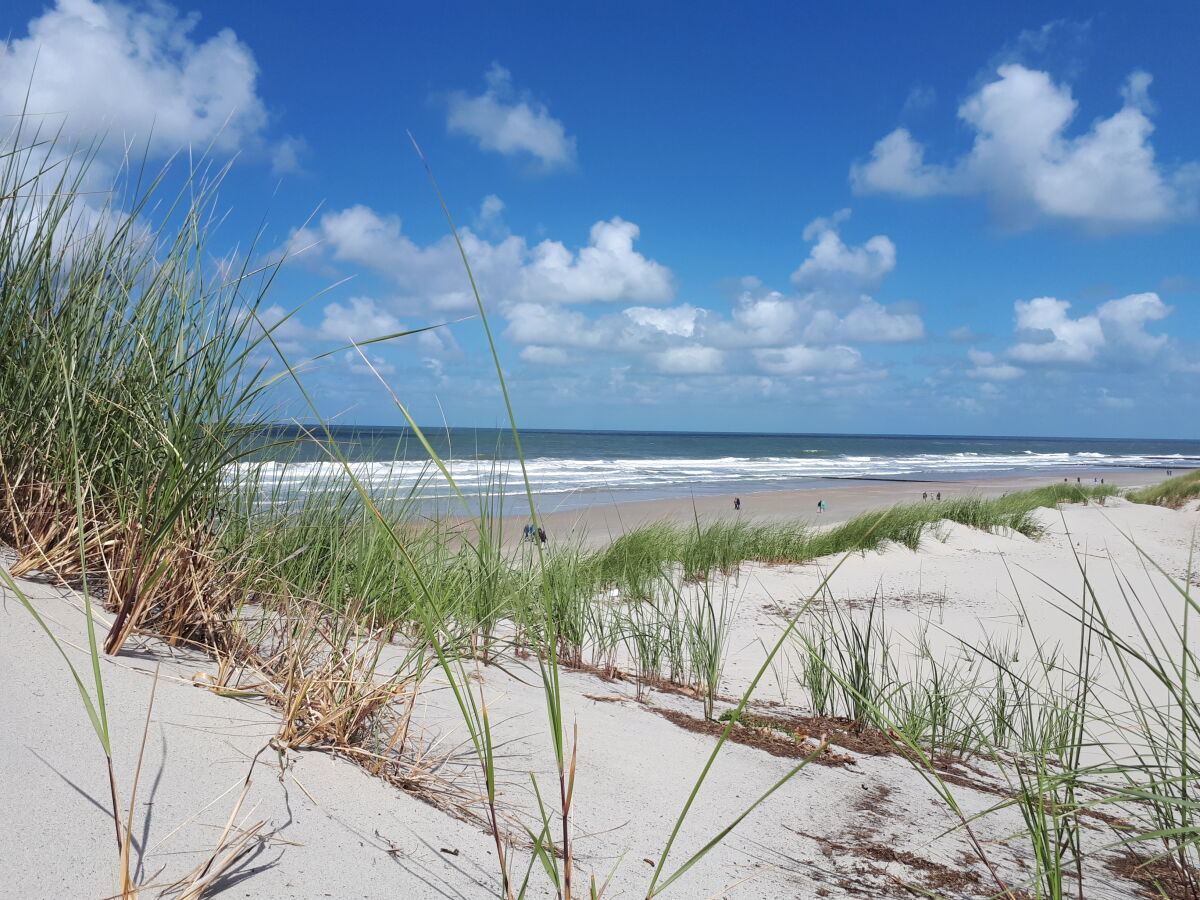 Strand Norderney