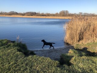 Vakantiehuis Makkum Omgeving 37