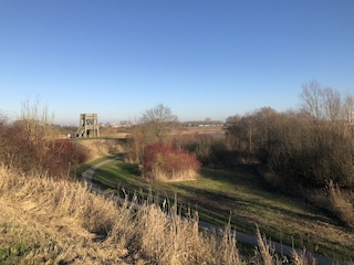 Hundepark - Rundweg mit Aussichtsturm