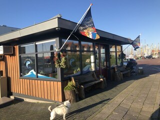 Vakantiehuis Makkum Omgeving 39