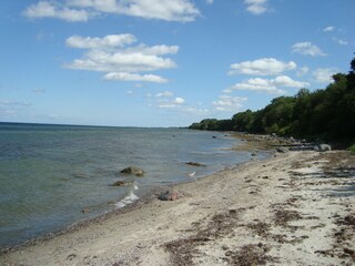 Casa per le vacanze Neukirchen bei Quern Ambiente 25