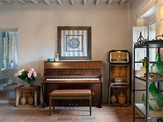 Villa San Casciano dei Bagni Caratteristiche 15