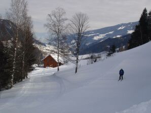 Apartment Reiteralm - Pichl - image1