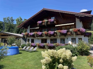 Appartement Kristall Sommer