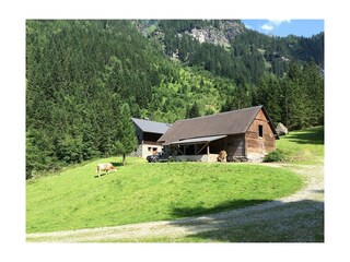 Unsere Alm im Untertal