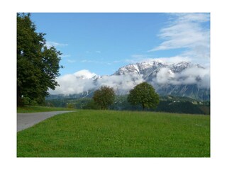 Der Blick vom Hof